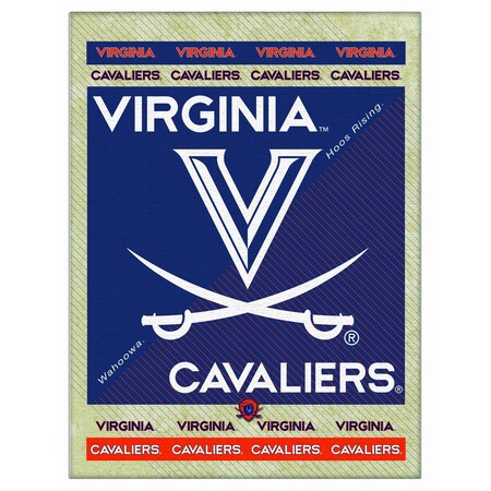 University Of Virginia 24x32 Canvas Wall Art